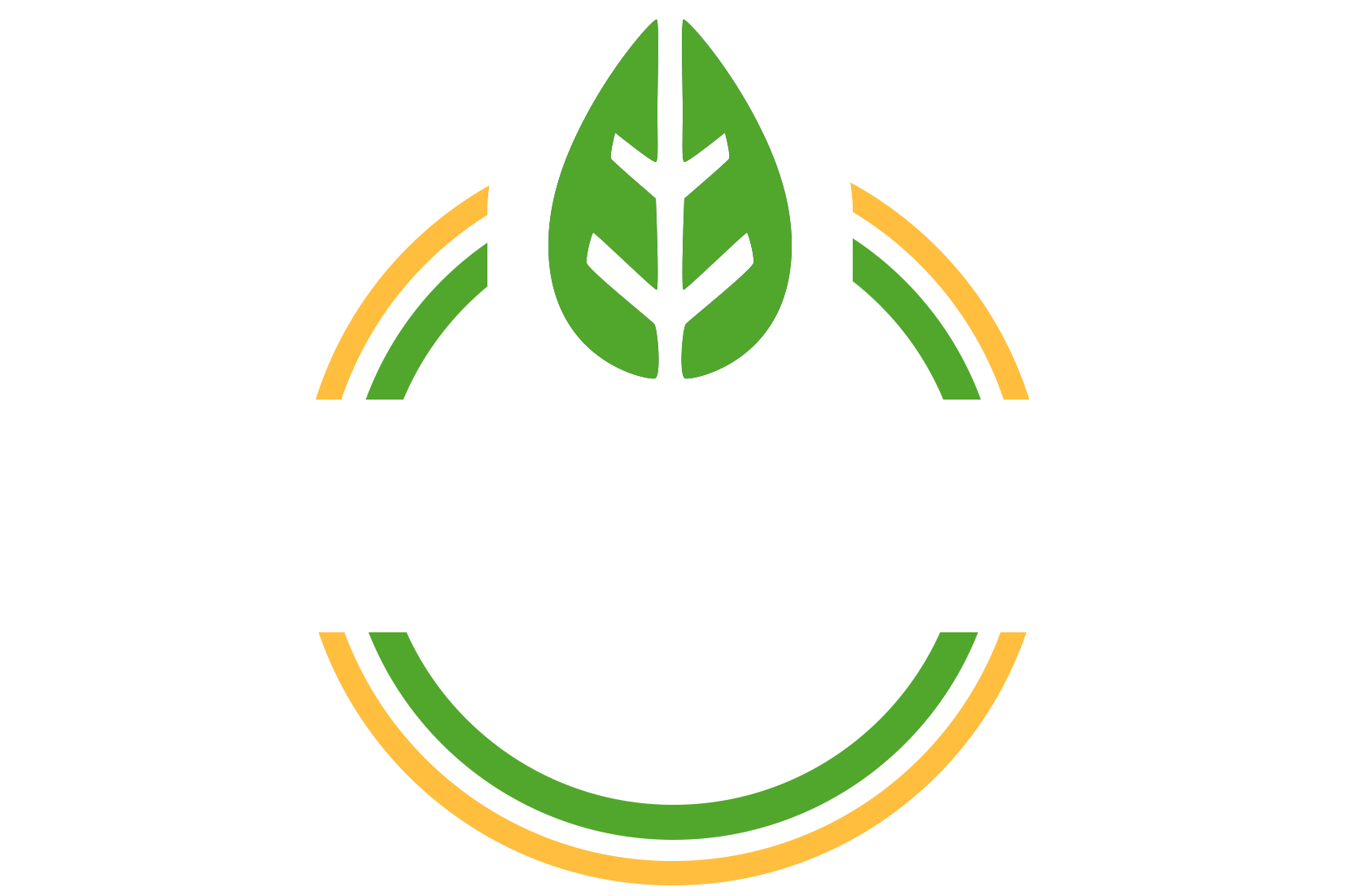 Kieran Foods